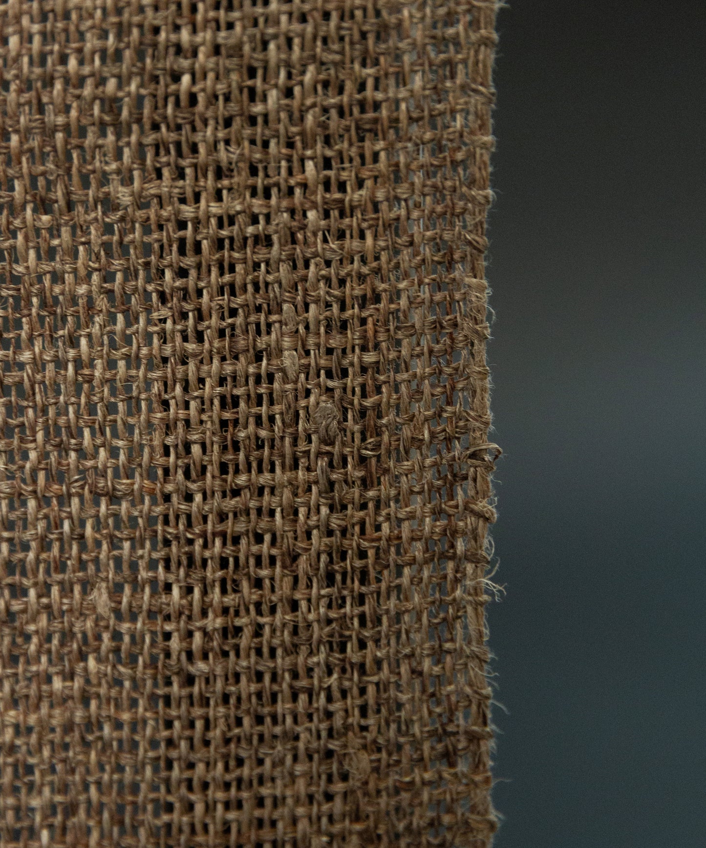 丹後藤布八寸名古屋帯 小西暢子制作 椿の花弁染め「木春無地」　＊価格はお気軽にお問い合わせくださいませ＊